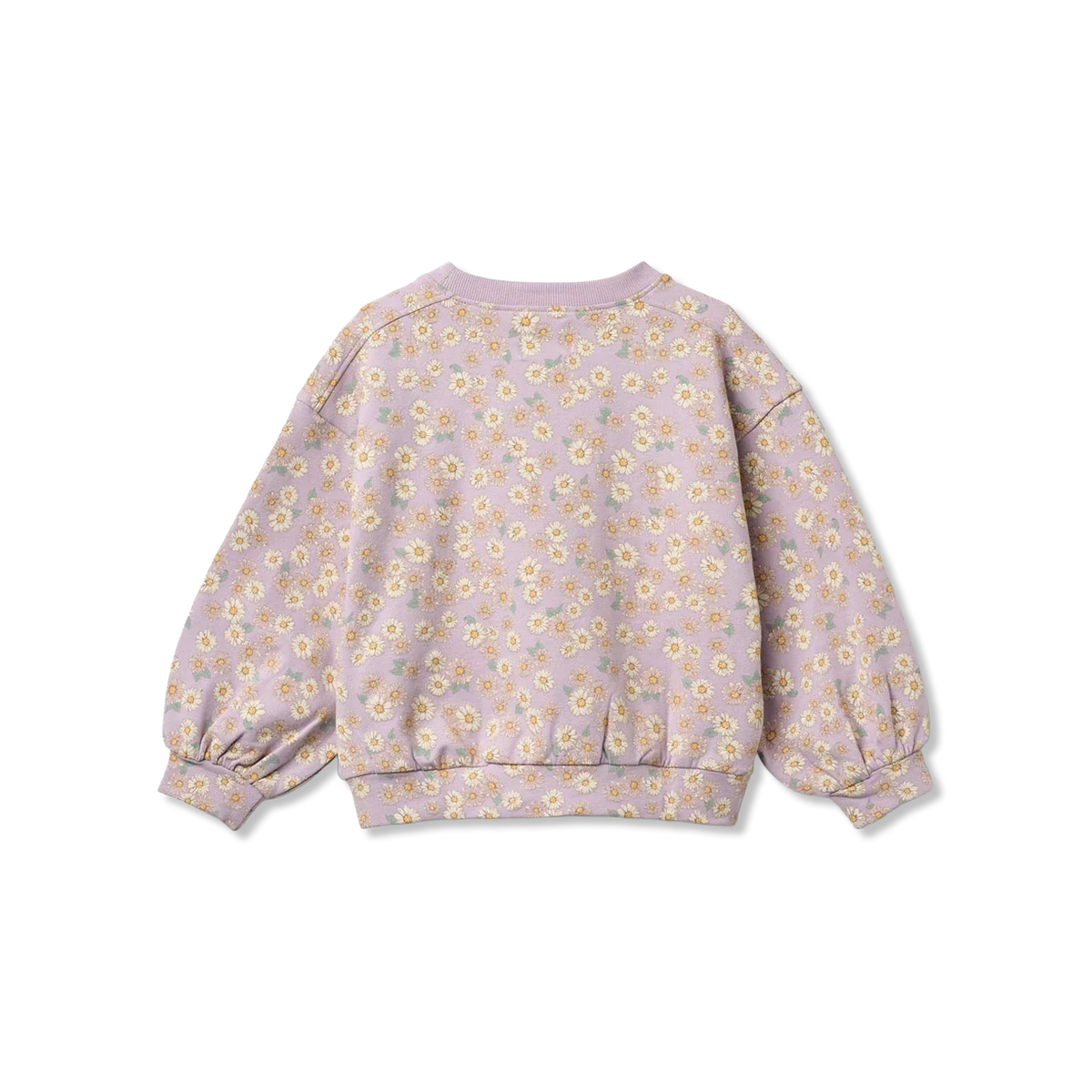 Lia bluzy