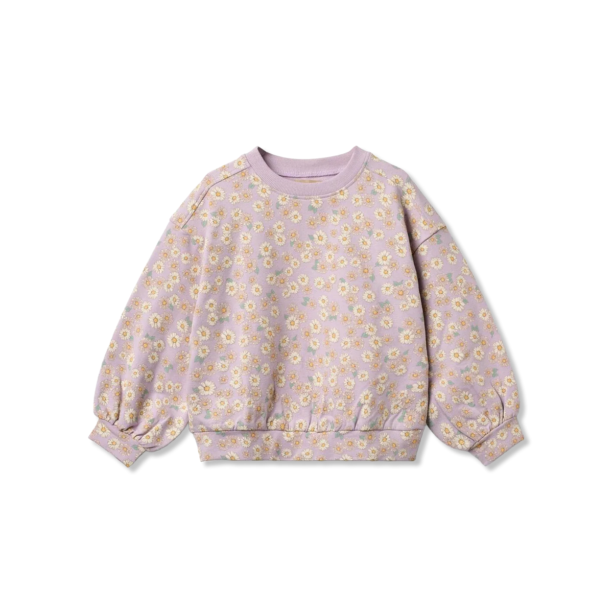 Lia bluzy