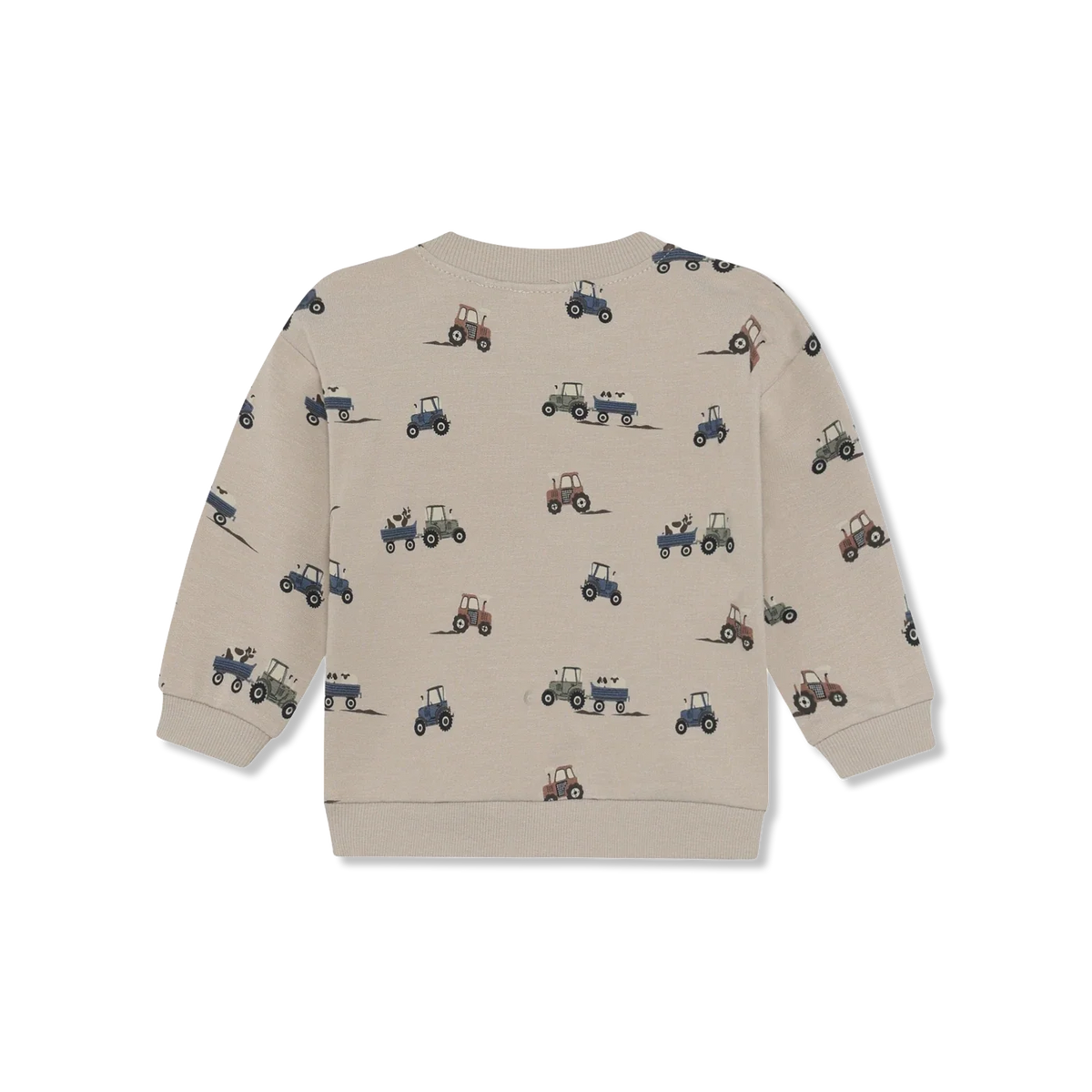 Sweatshirt ls Bluza