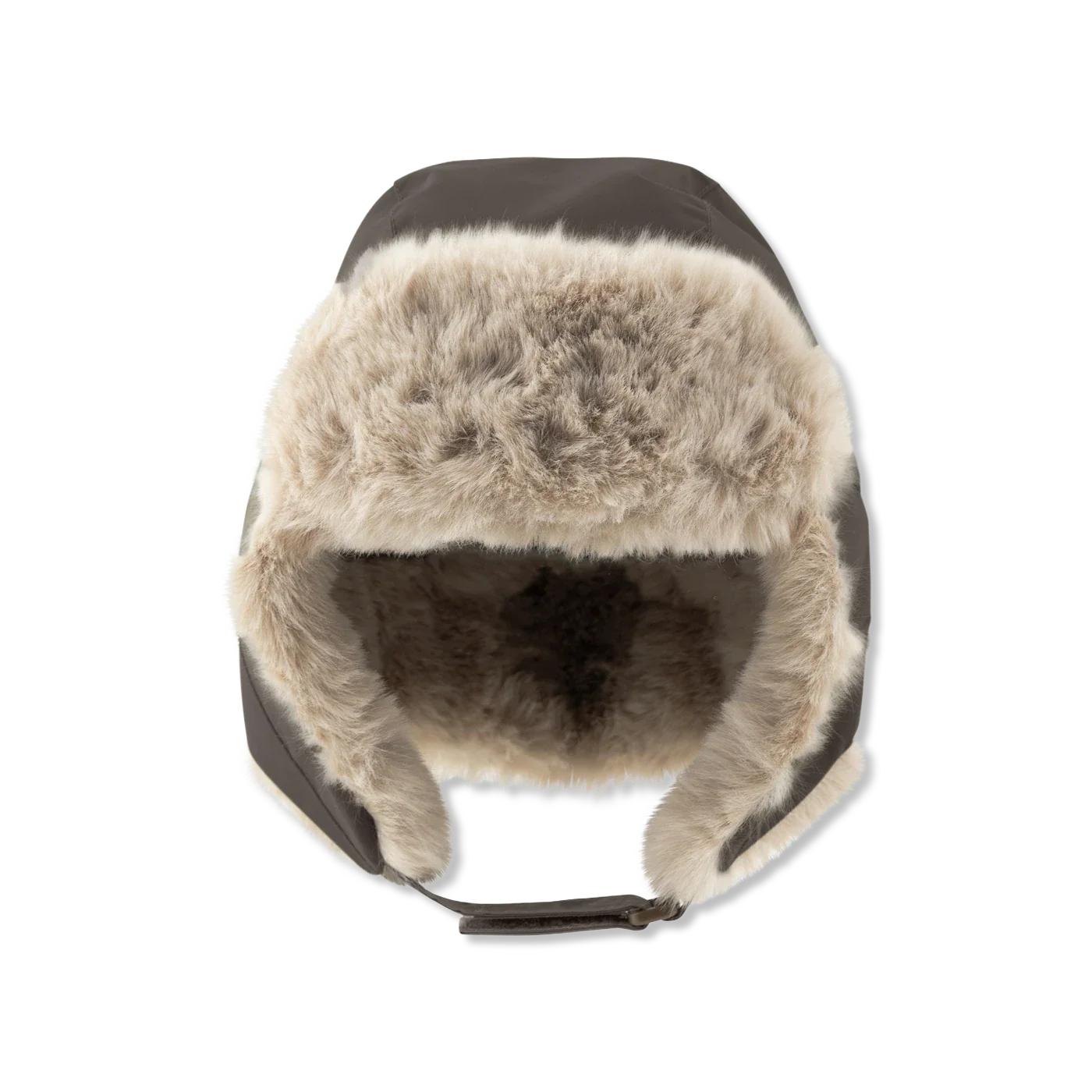 Matcrister teddy
