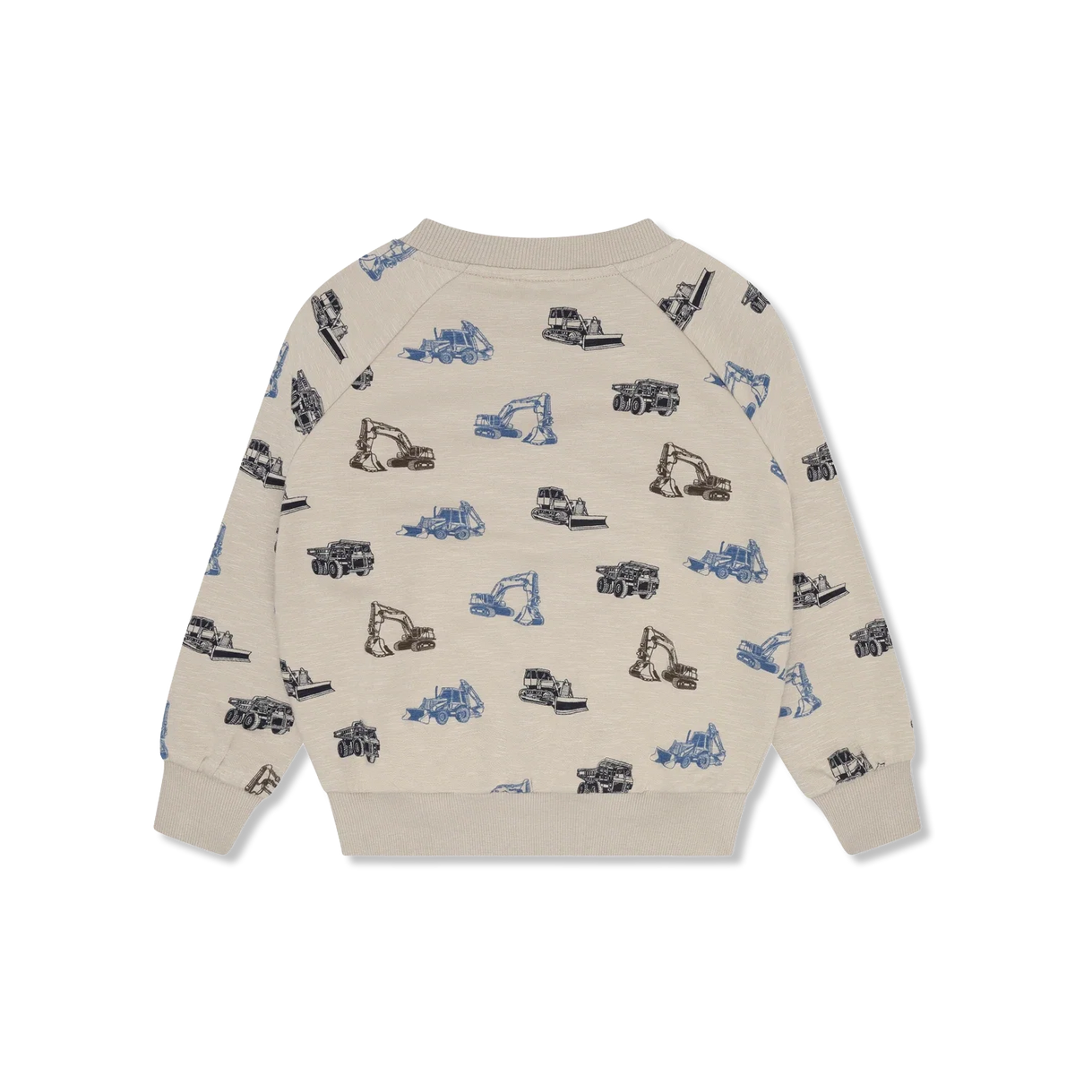 Sweatshirt ls Bluza