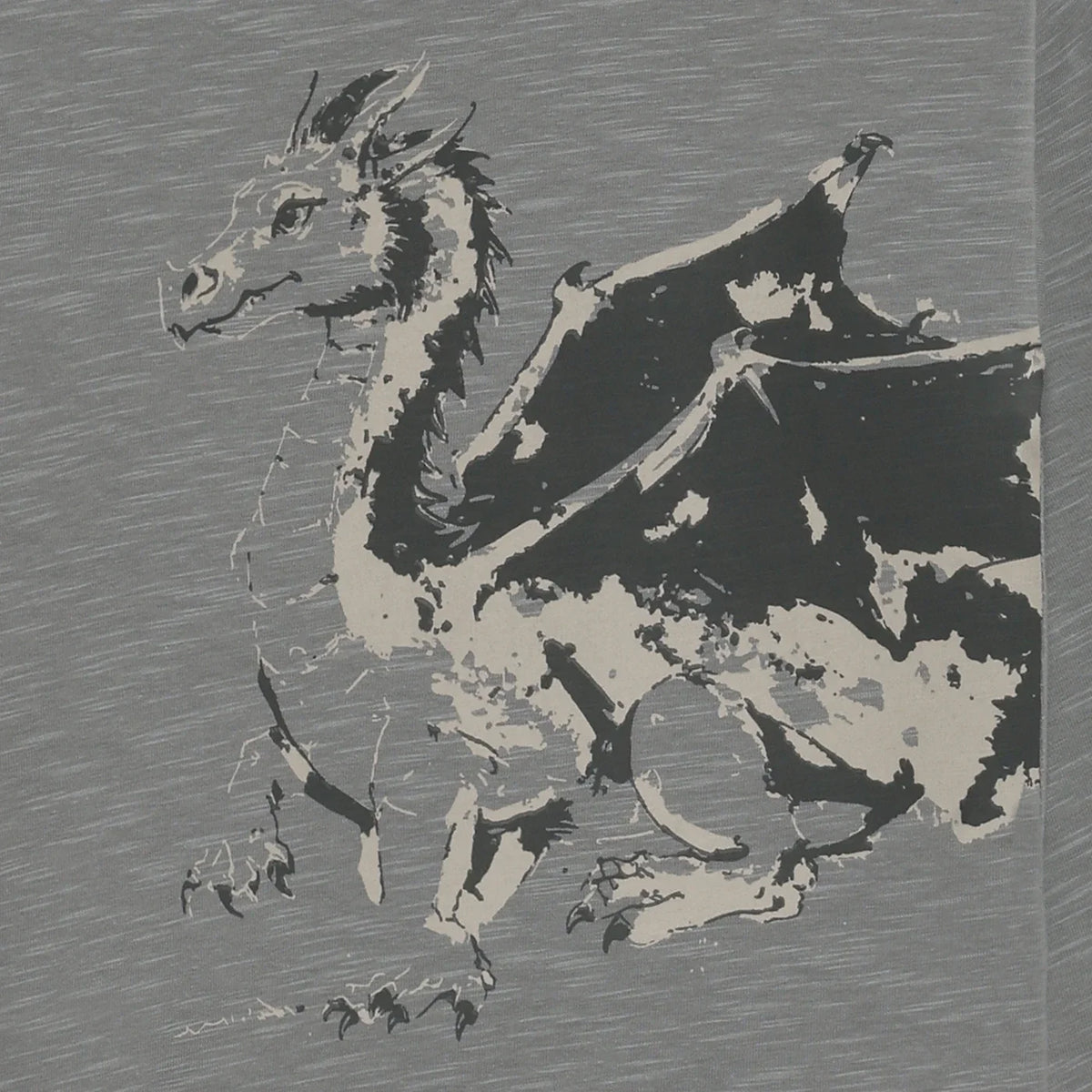 T-shirt ls Bluzka