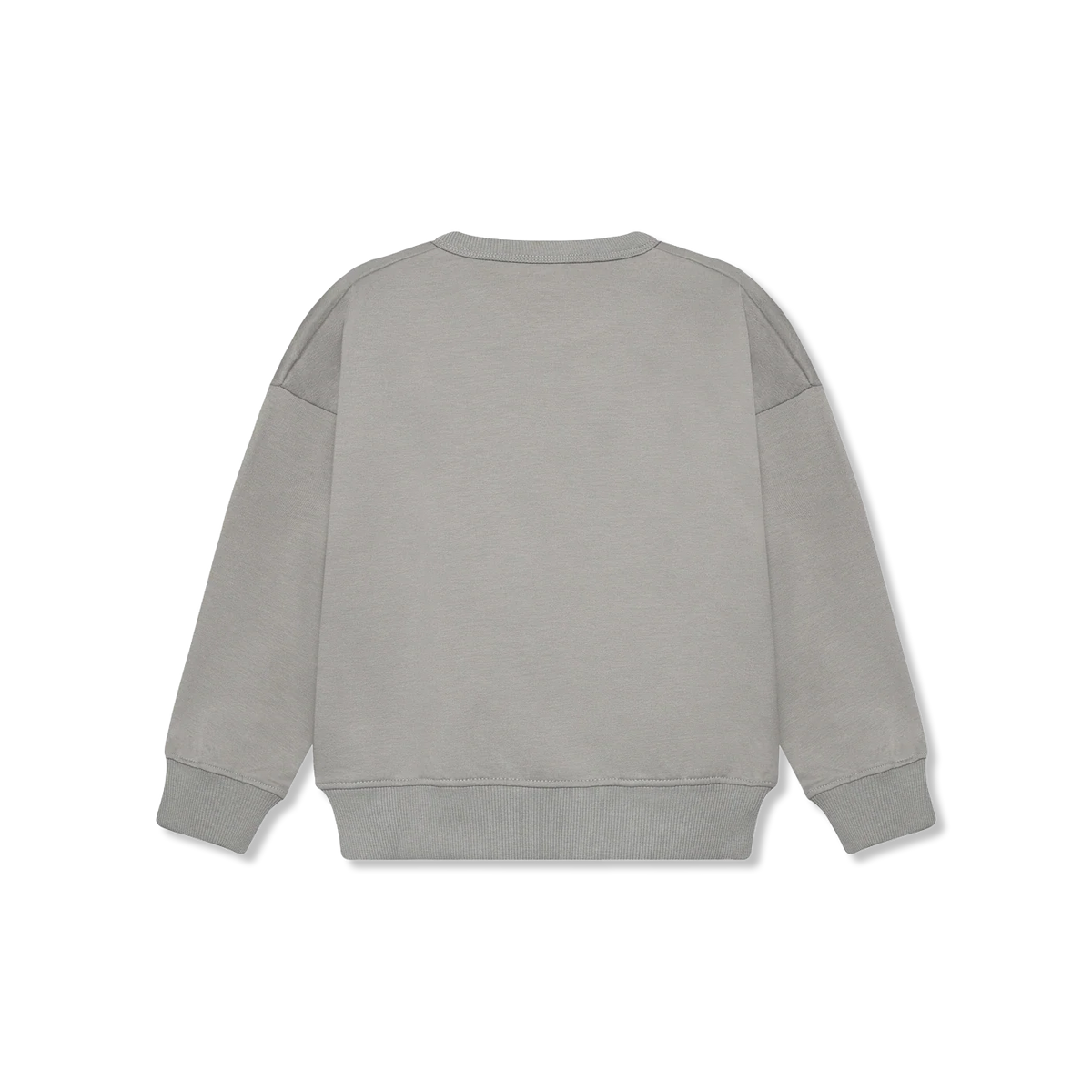 Sweatshirt ls Bluza