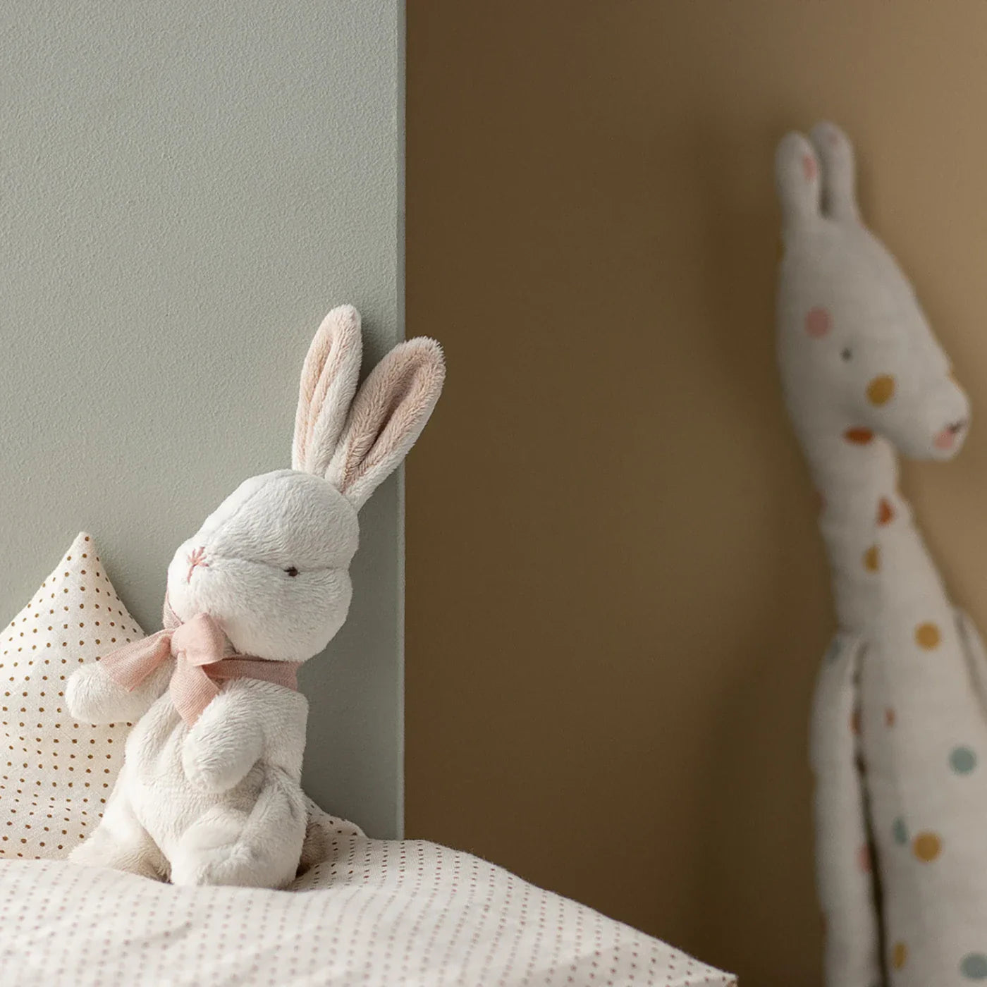 My first bunny Miś