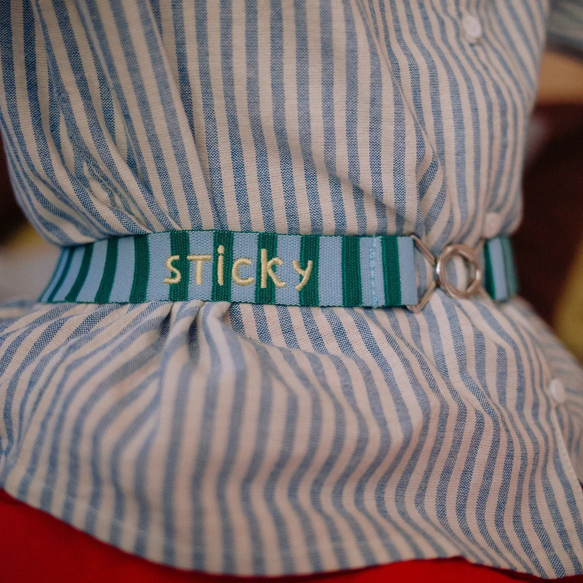 Sticky memories Pasek