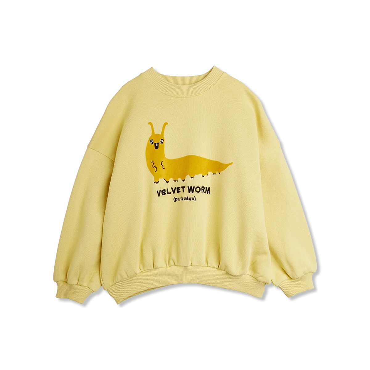 Velvet worm Bluza