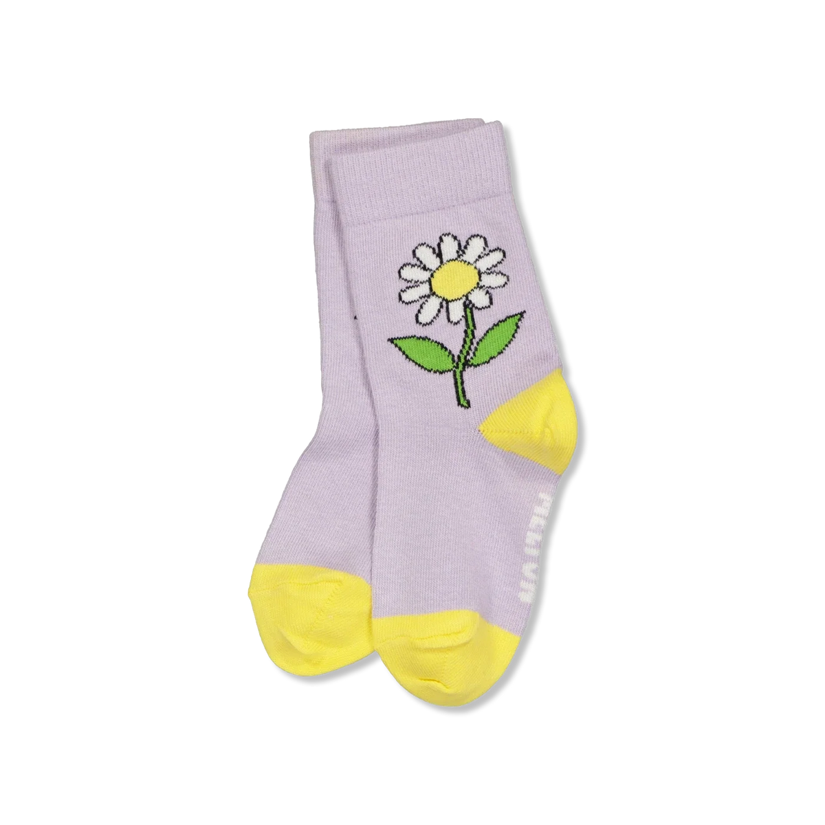 Daisy Skarpetki