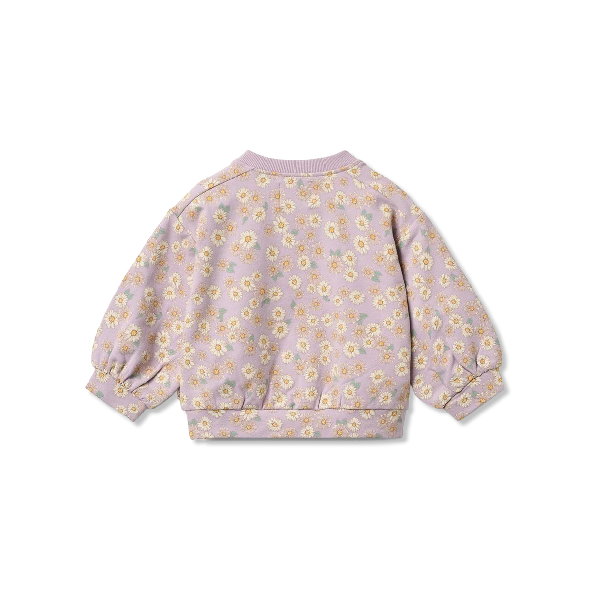 Lia bluzy