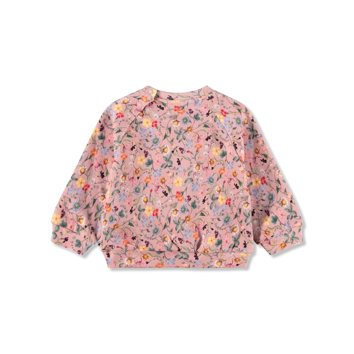 Disc Bluza