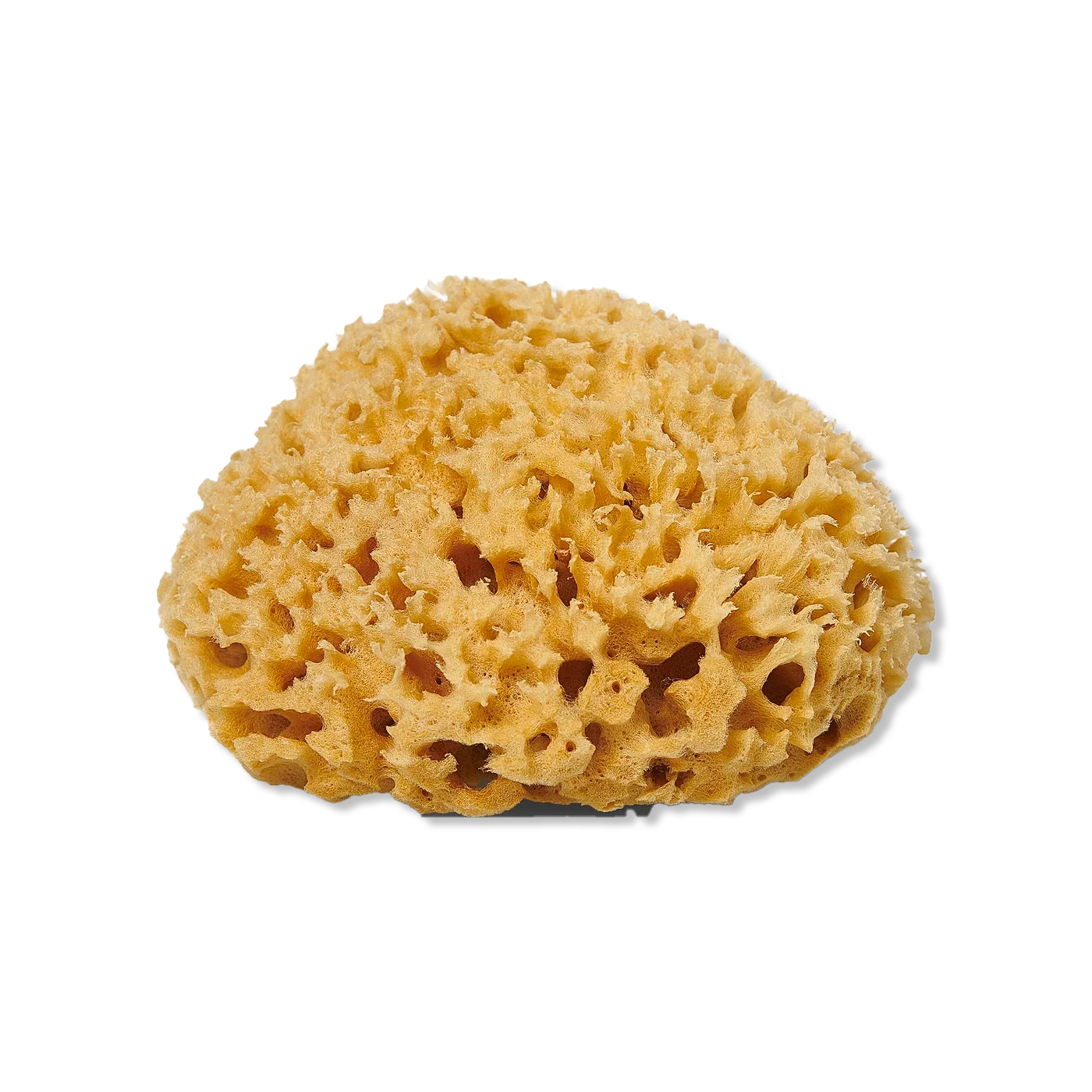 Pielęgnacja niemowląt