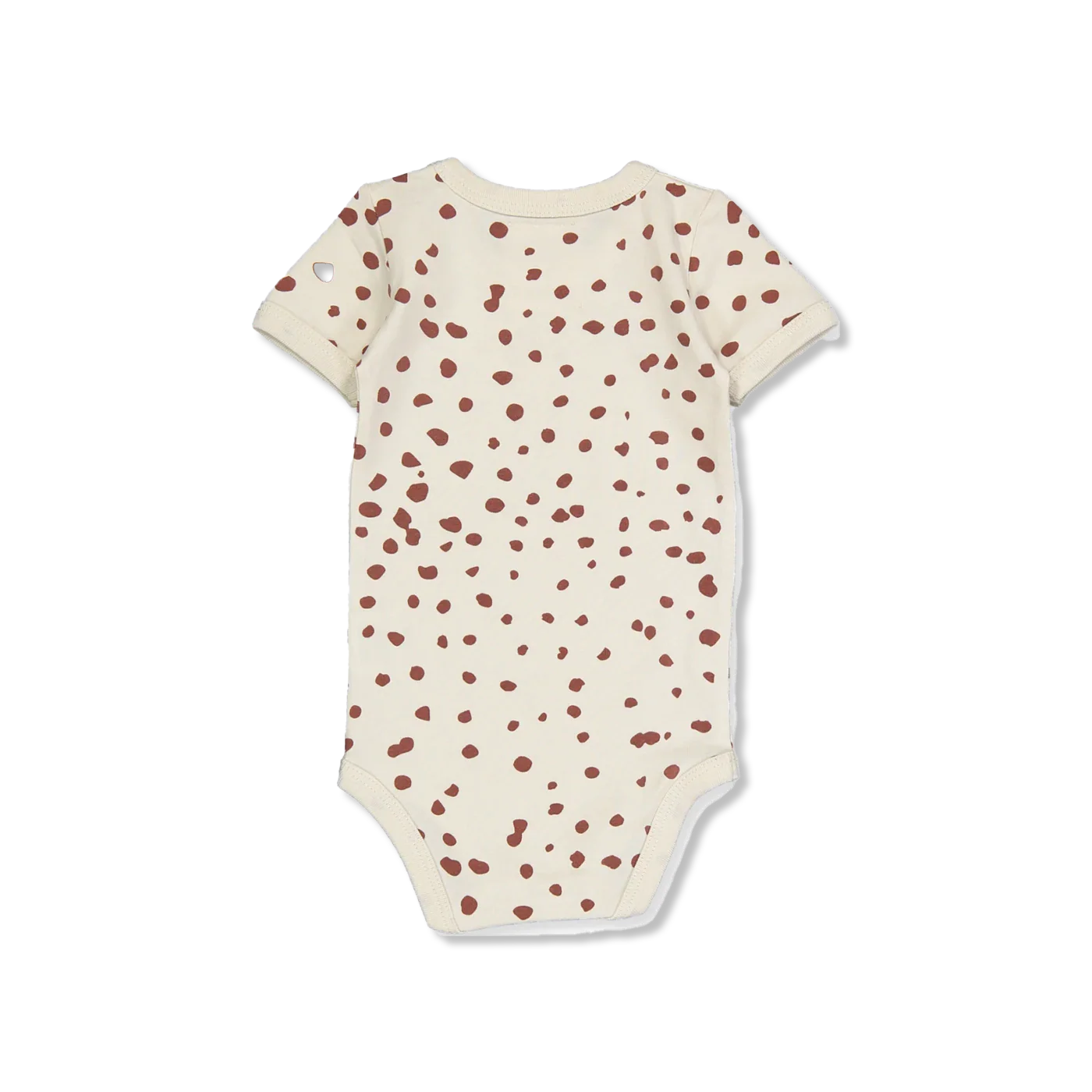 ALBI body