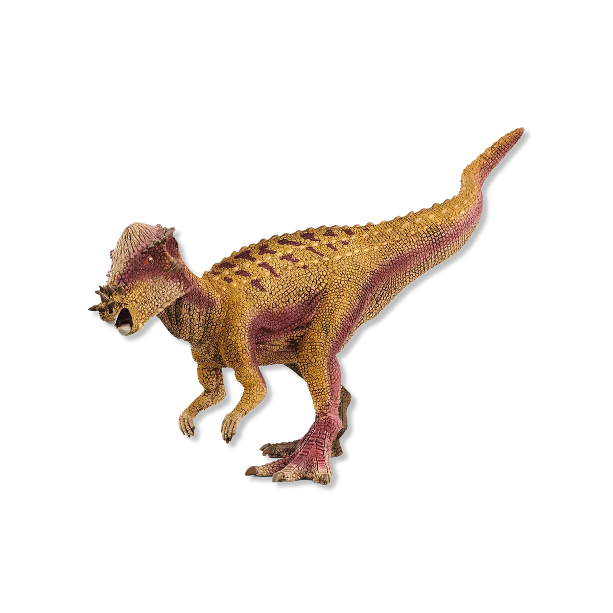 Pachycephalosaurus zwierzęta i figurki