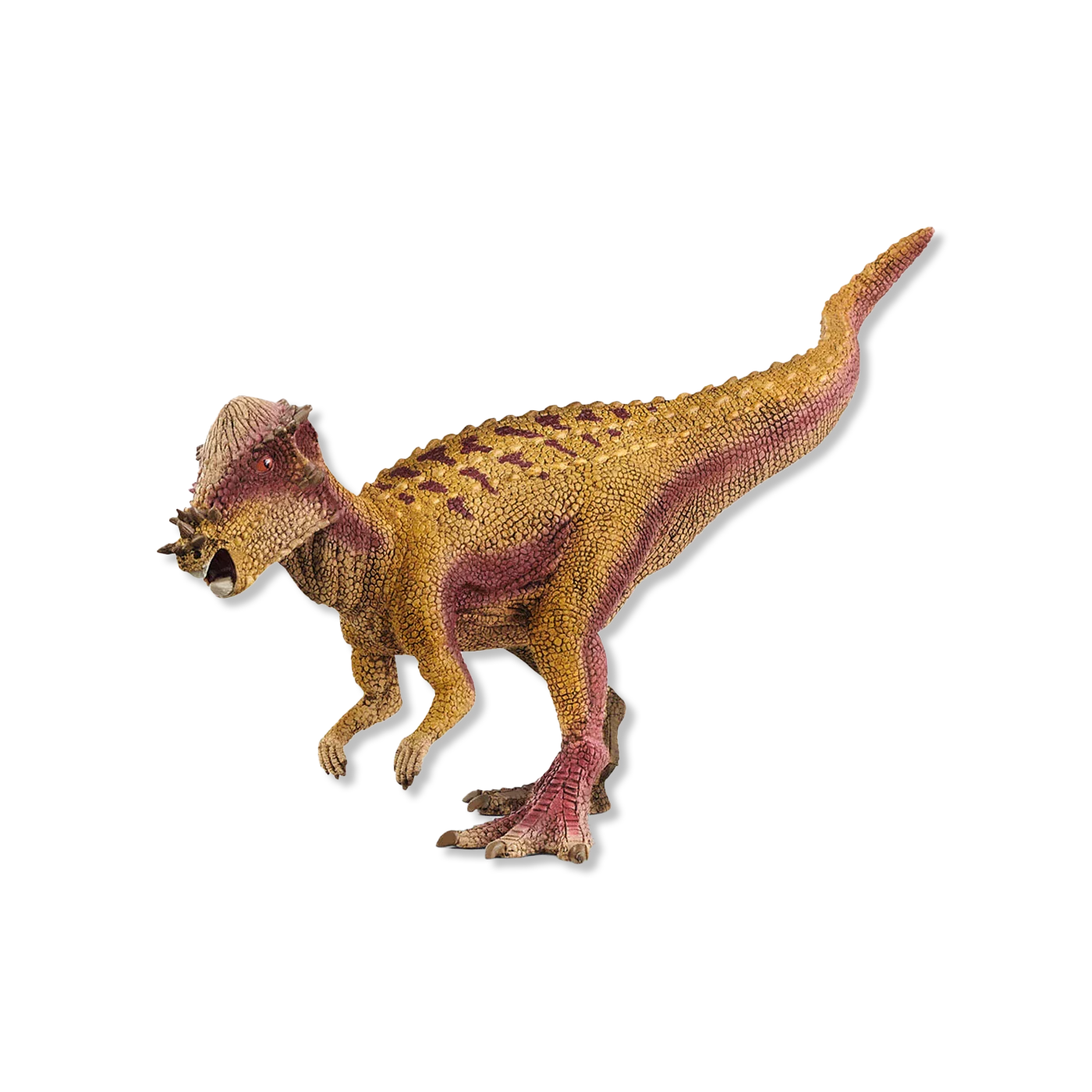 Pachycephalosaurus zwierzęta i figurki