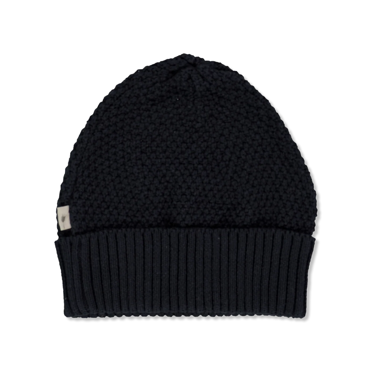 Evig czapka