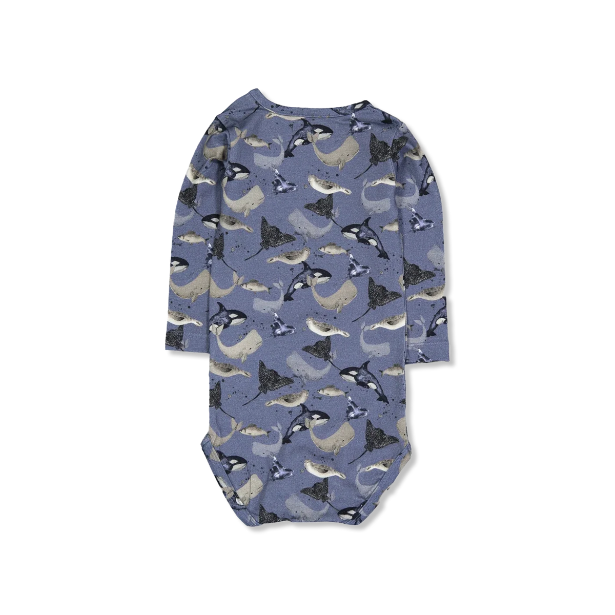 NBMTAMMES body