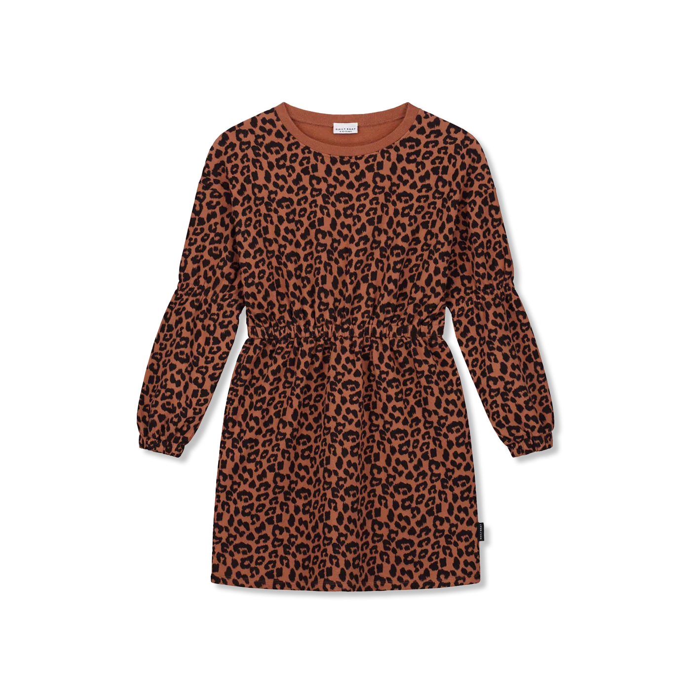 sukienka