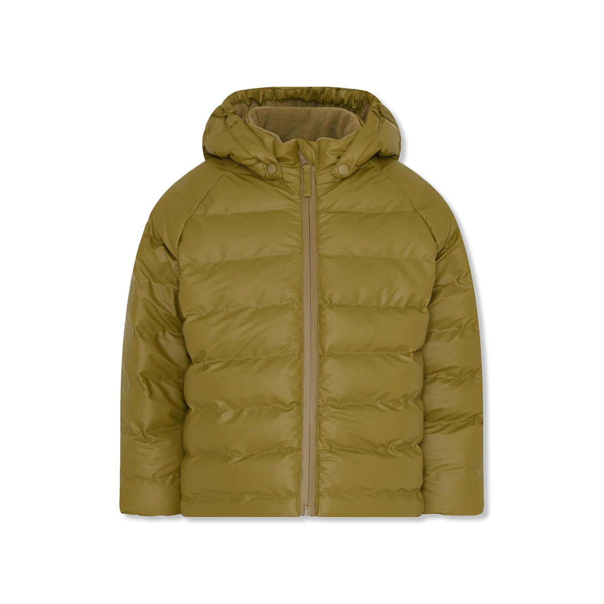 polar