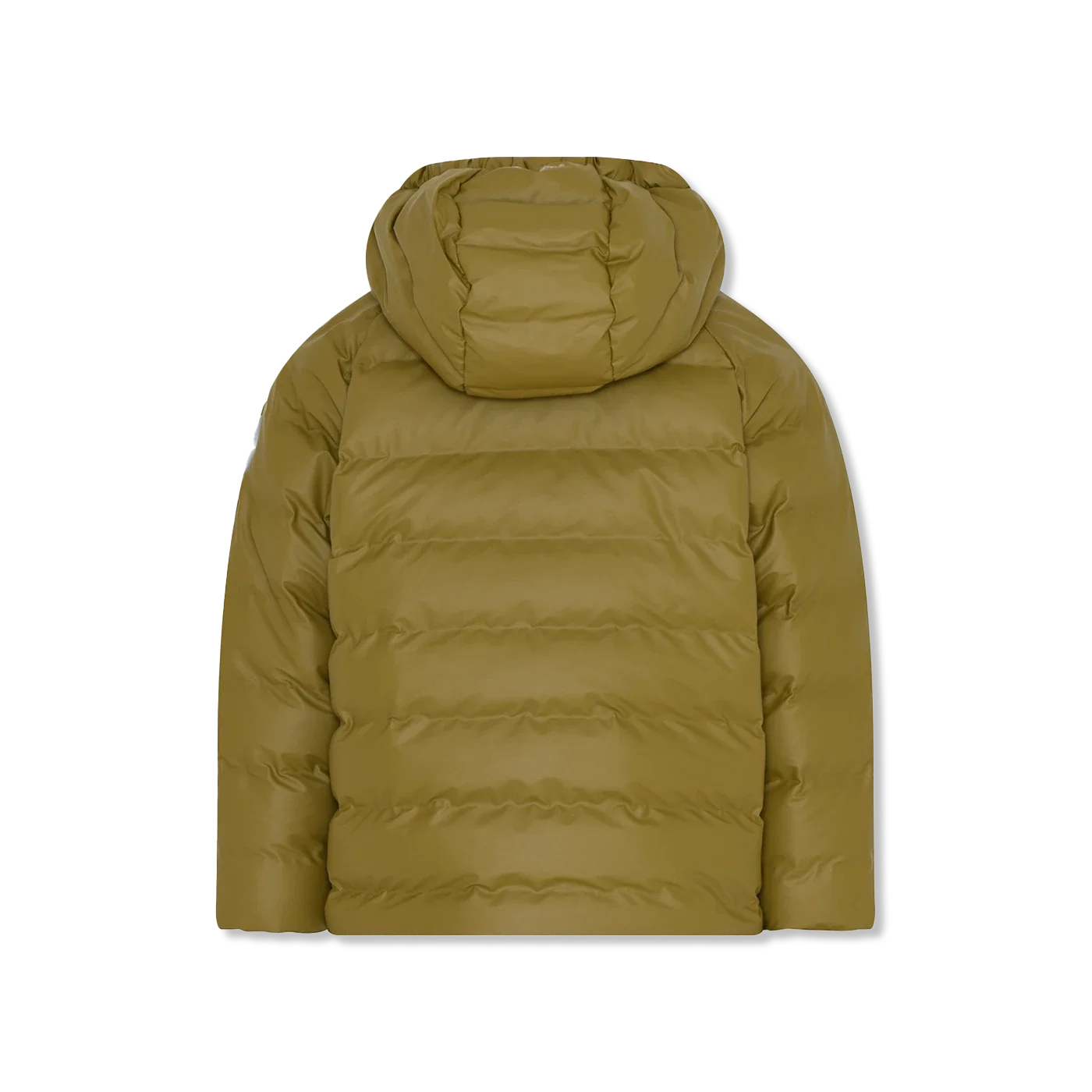 polar