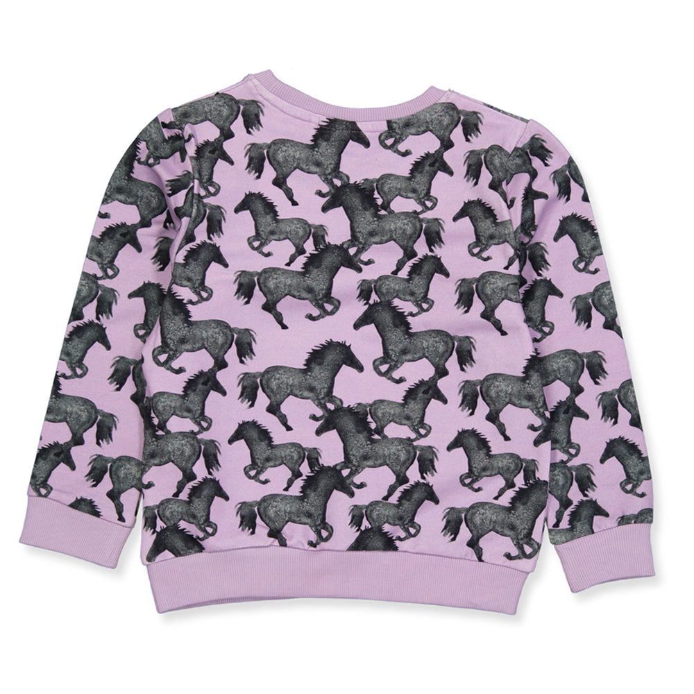 NMFSACHA bluzy