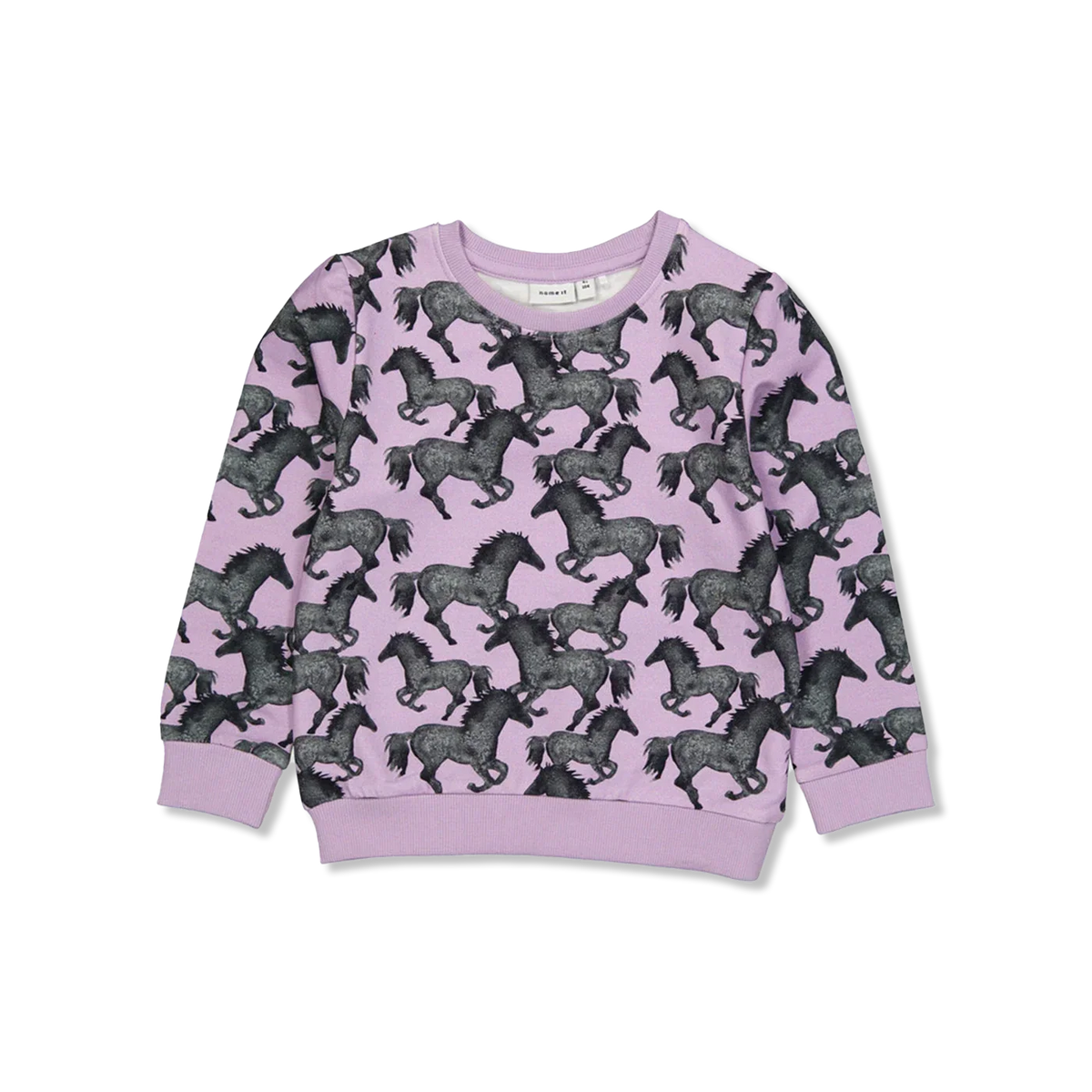 NMFSACHA bluzy