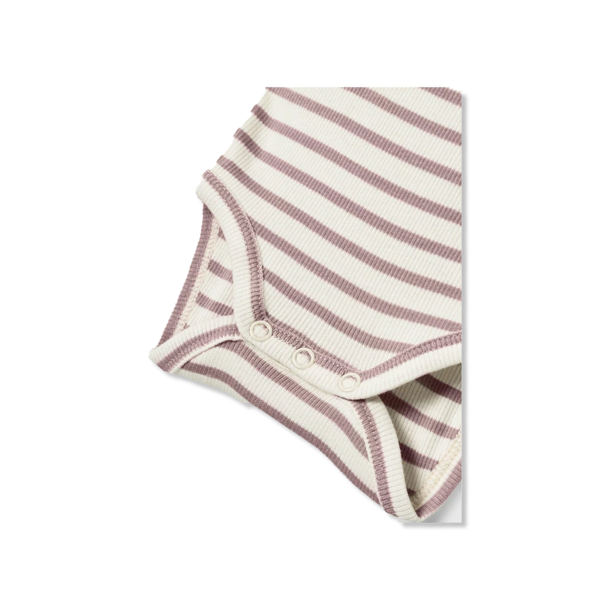 Nbnbani body