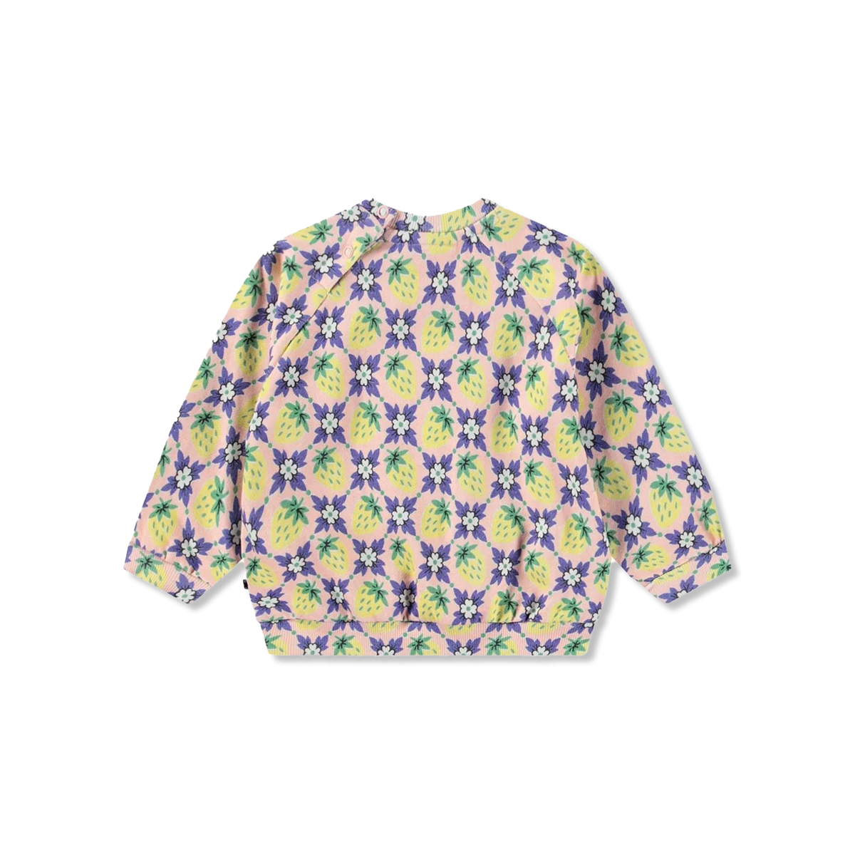 Disc bluzy