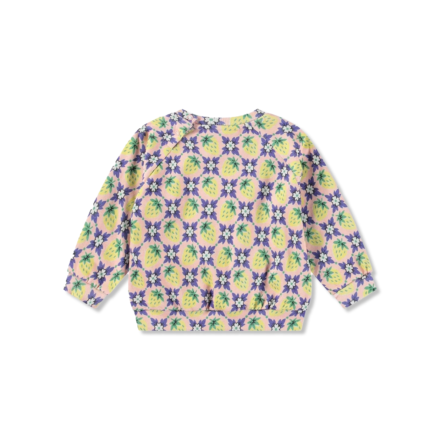 Disc bluzy