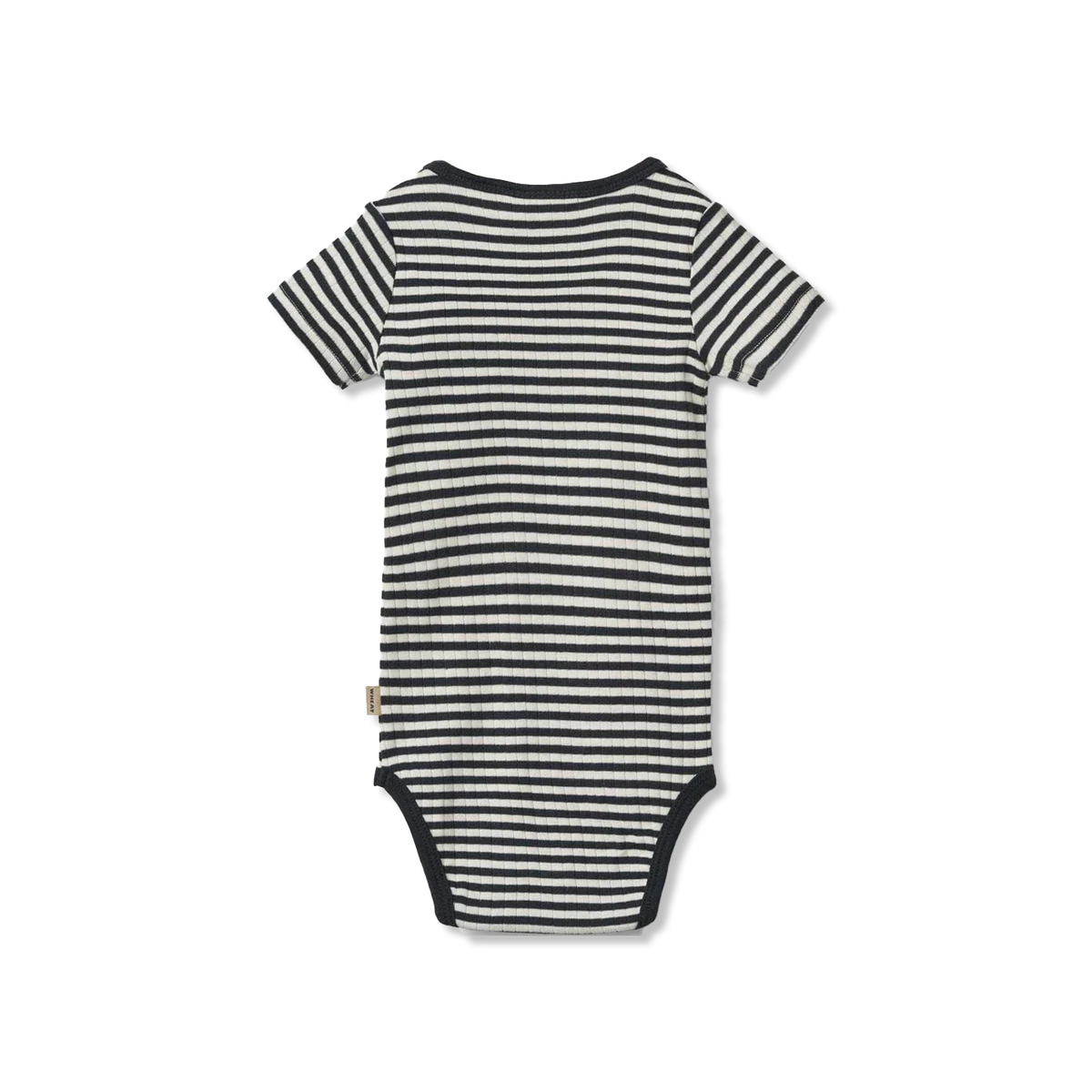Edvald body