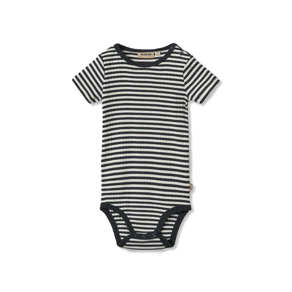 Edvald body