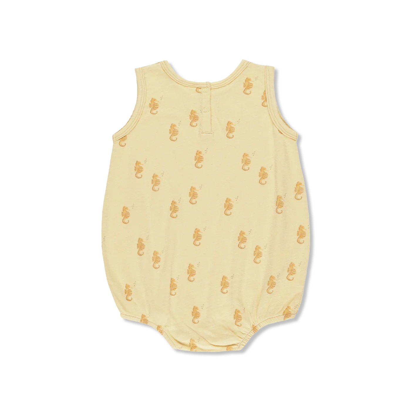 SEAHORSES body