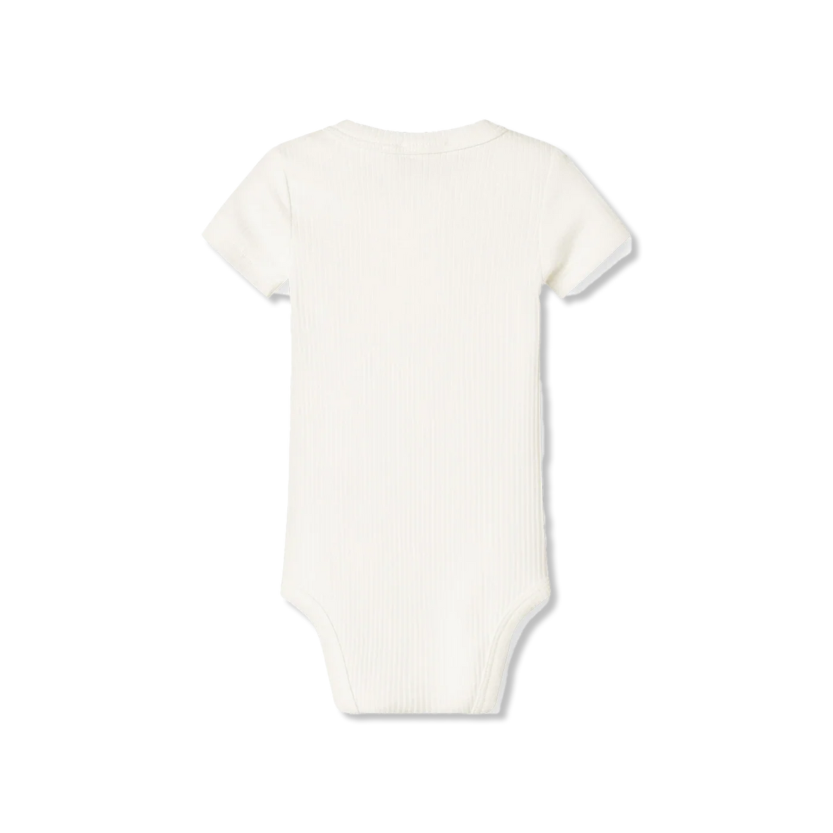 body