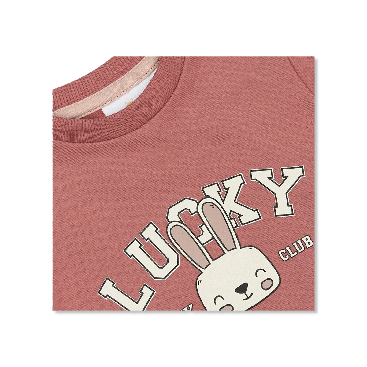 TNSBPheba bluzy