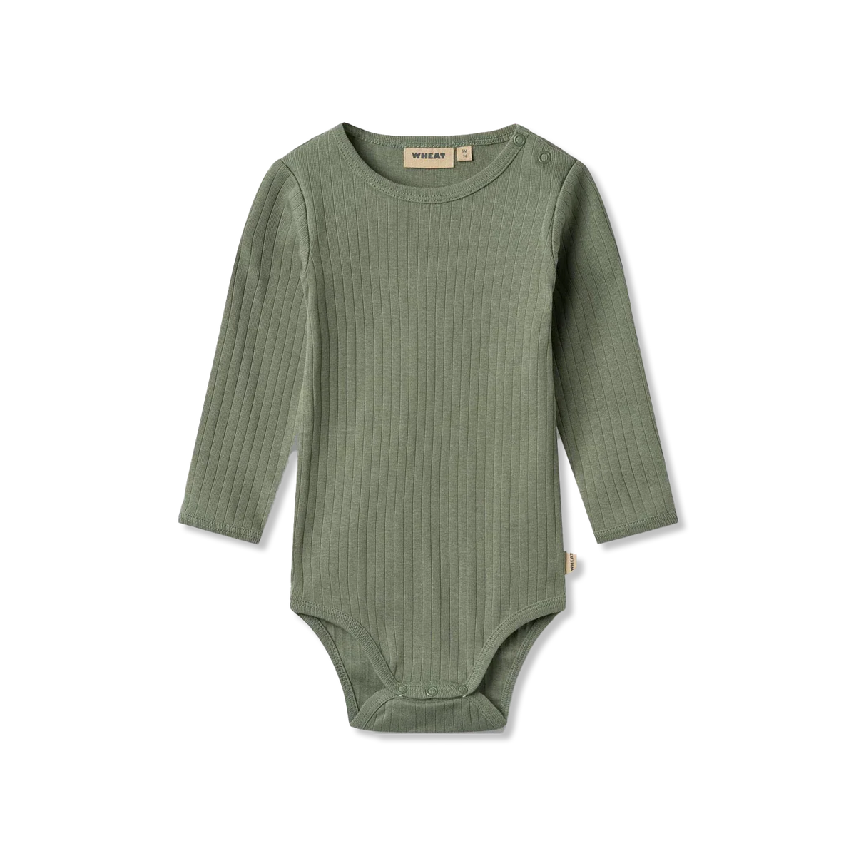 Berti body