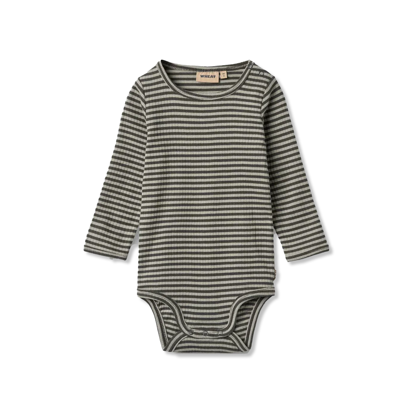 Berti body