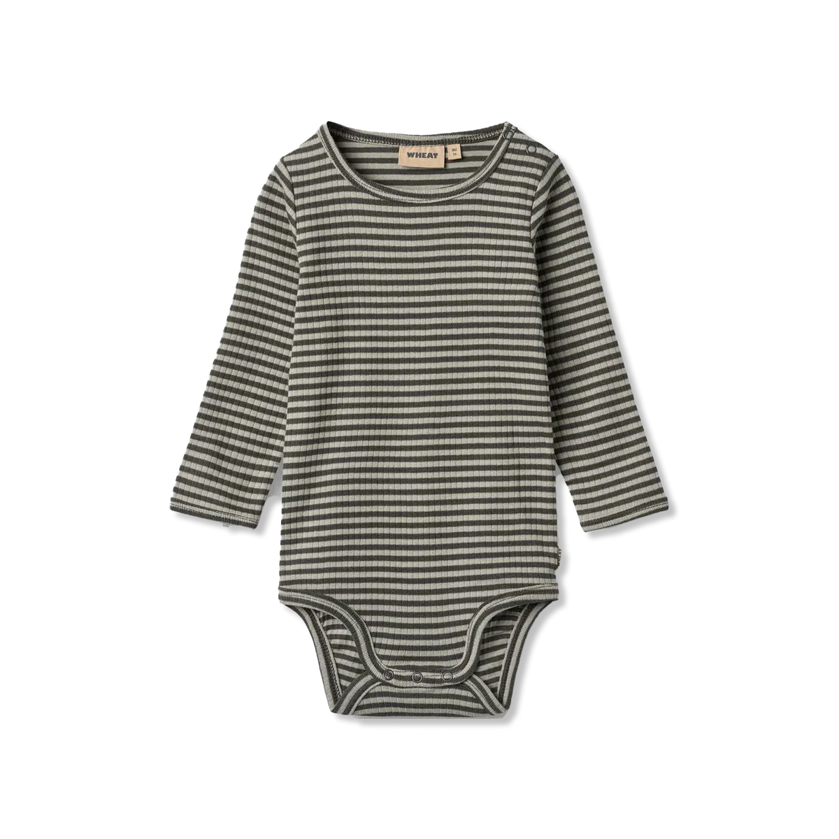 Berti body