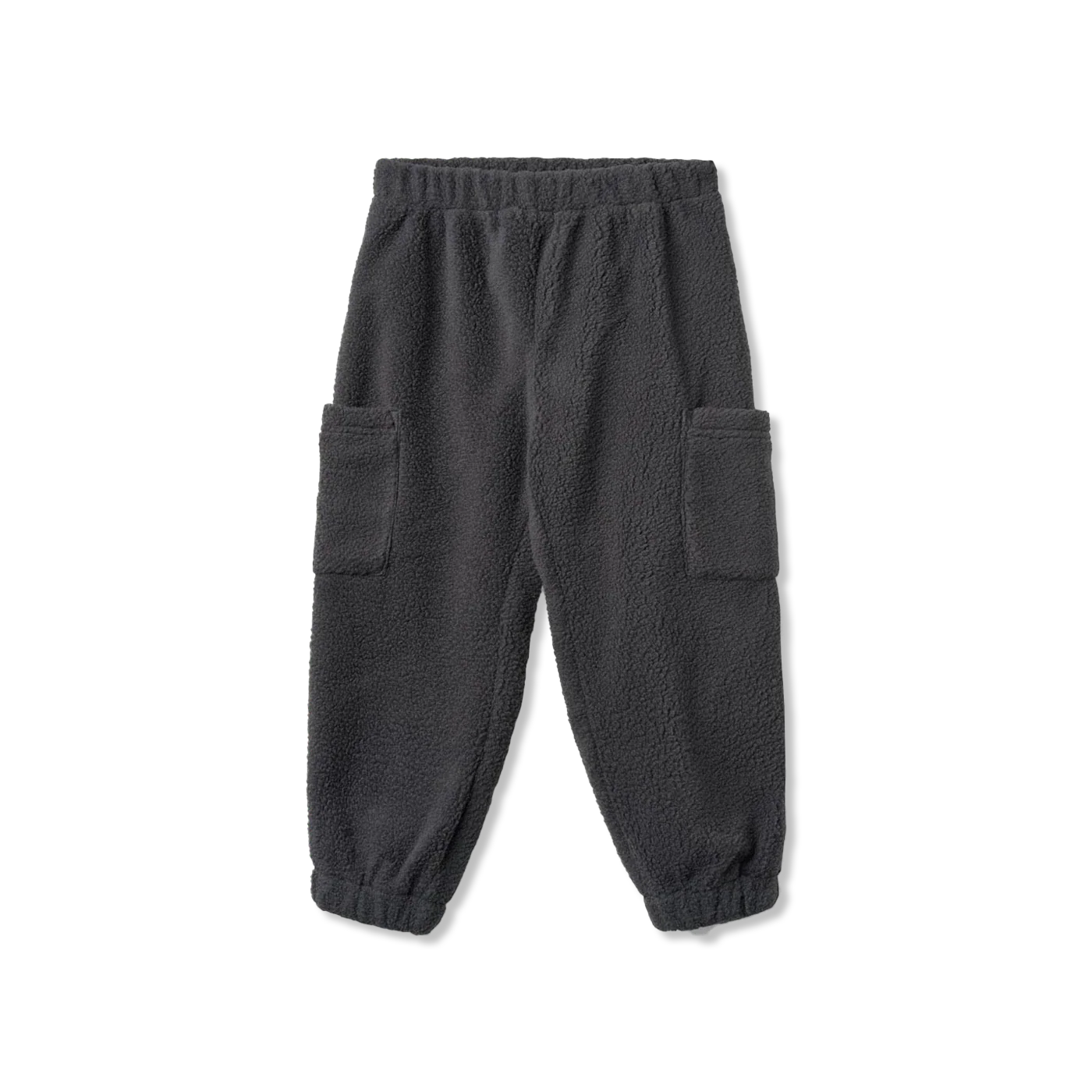 Suun polar