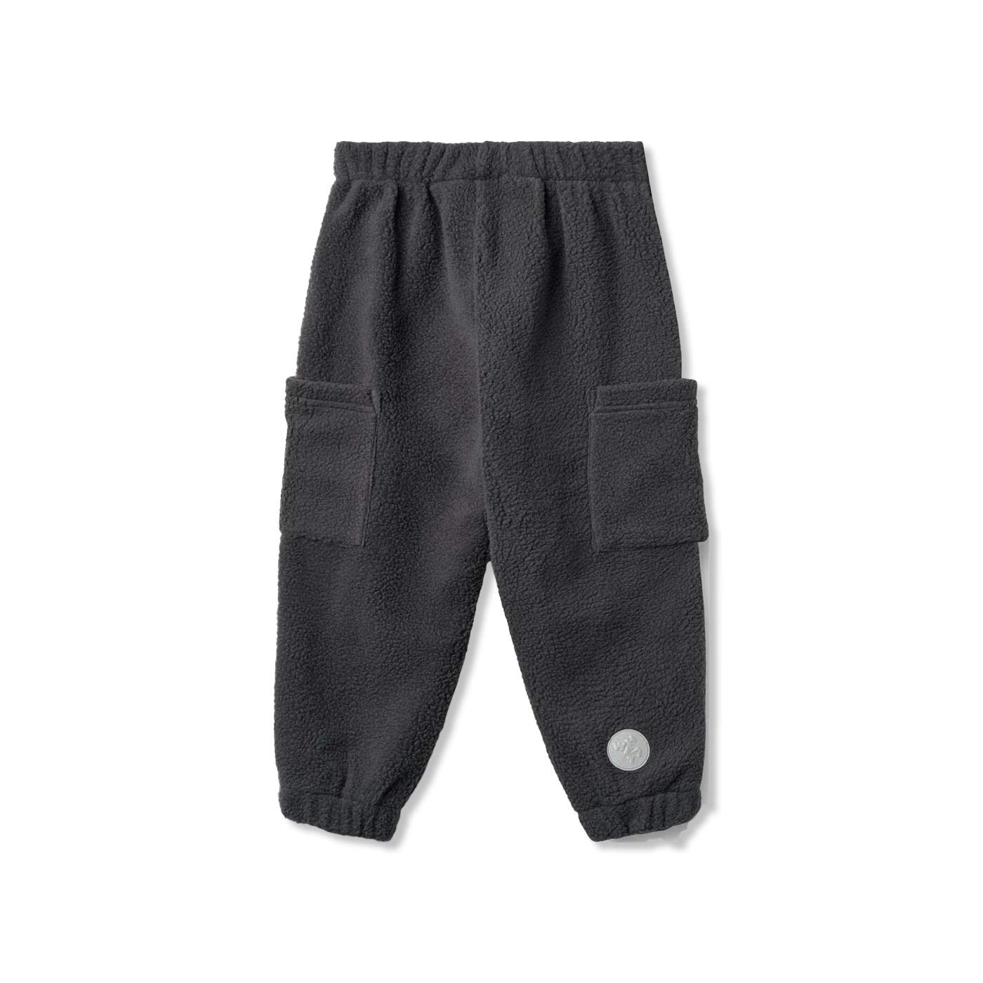 Suun polar