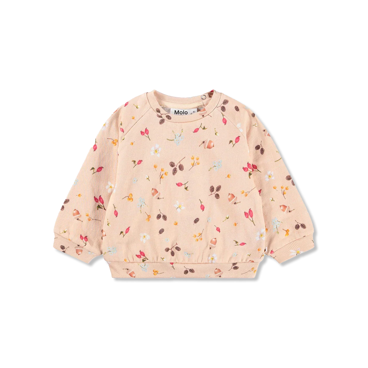 Disc bluzy