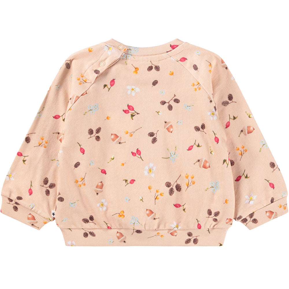 Disc bluzy