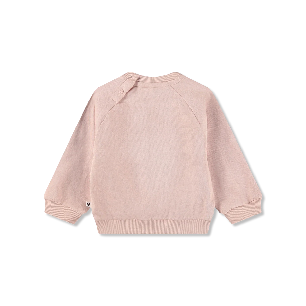 Disc bluzy