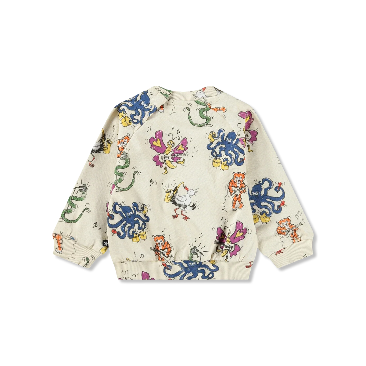 Disc bluzy