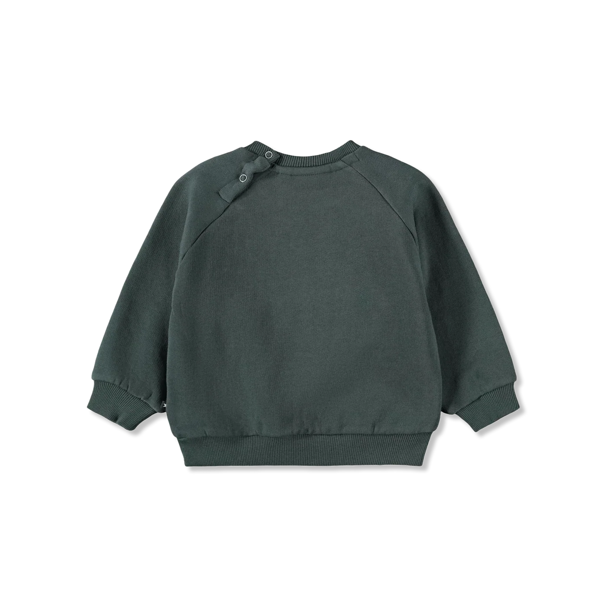 Disc Bluza