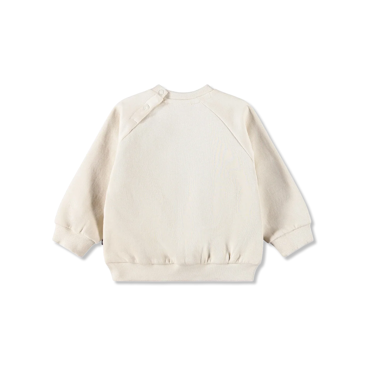 Disc Bluza