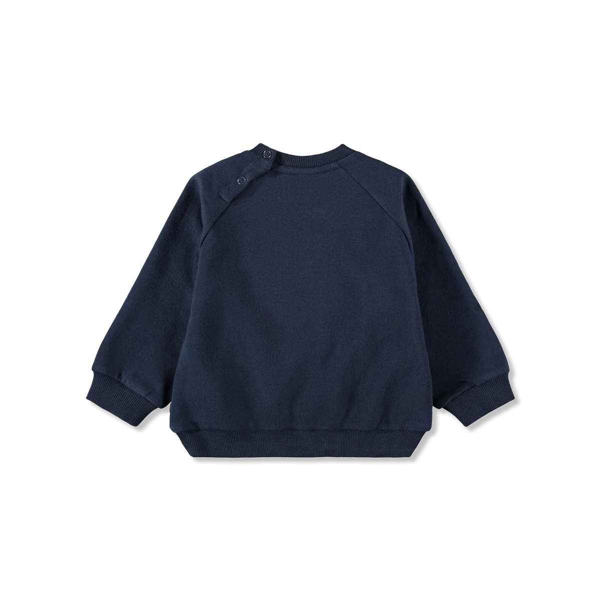 Disc Bluza