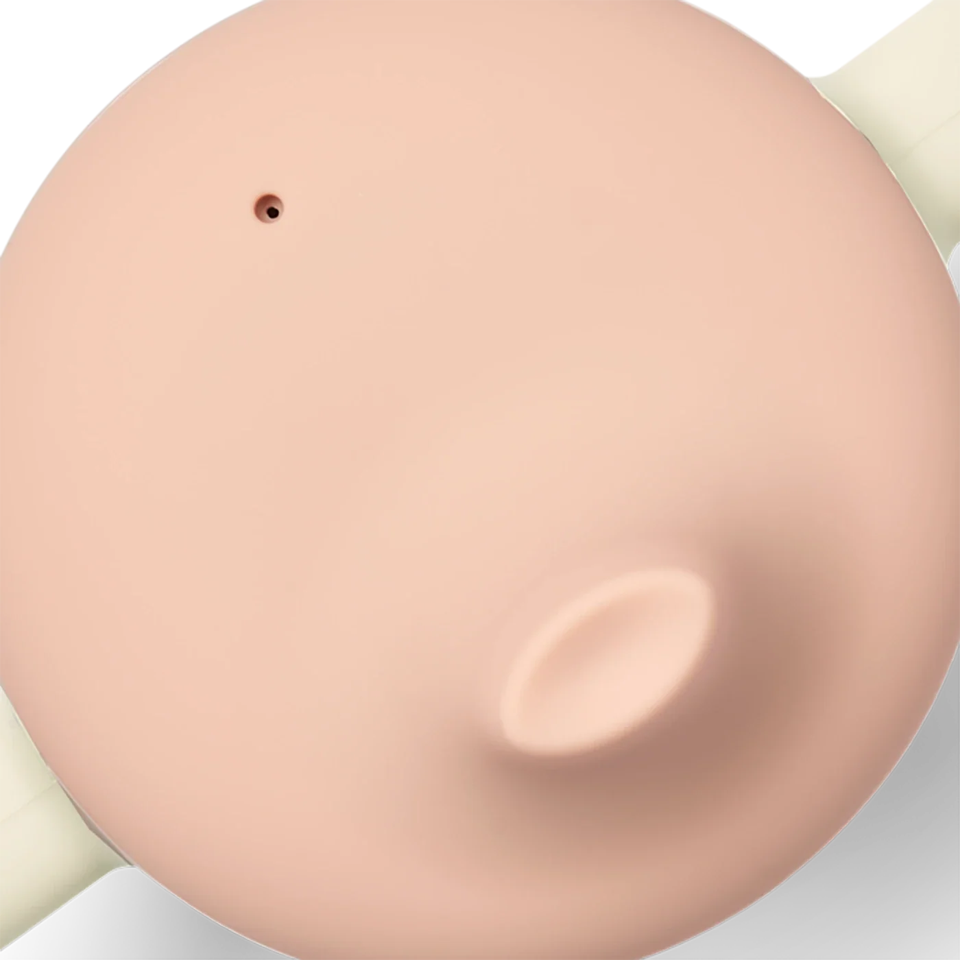 Neil sippy