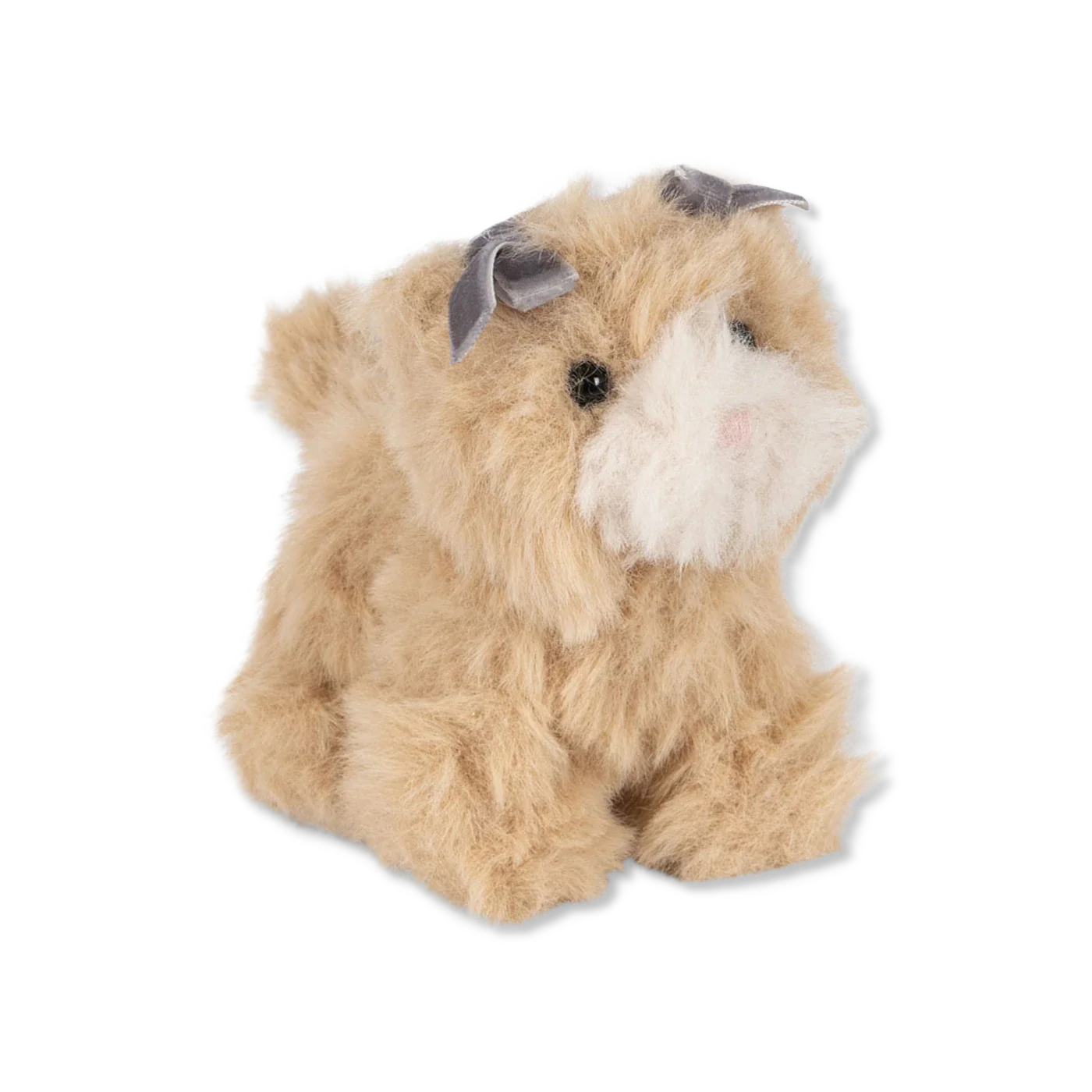 CHARM różne zabawki