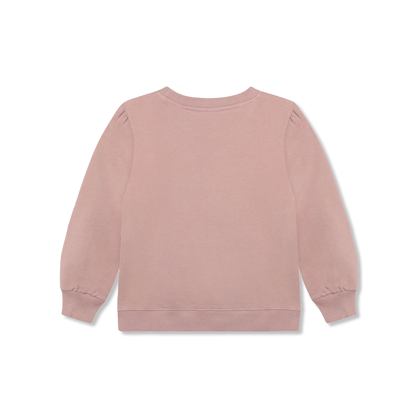 Sweatshirt ls Bluza