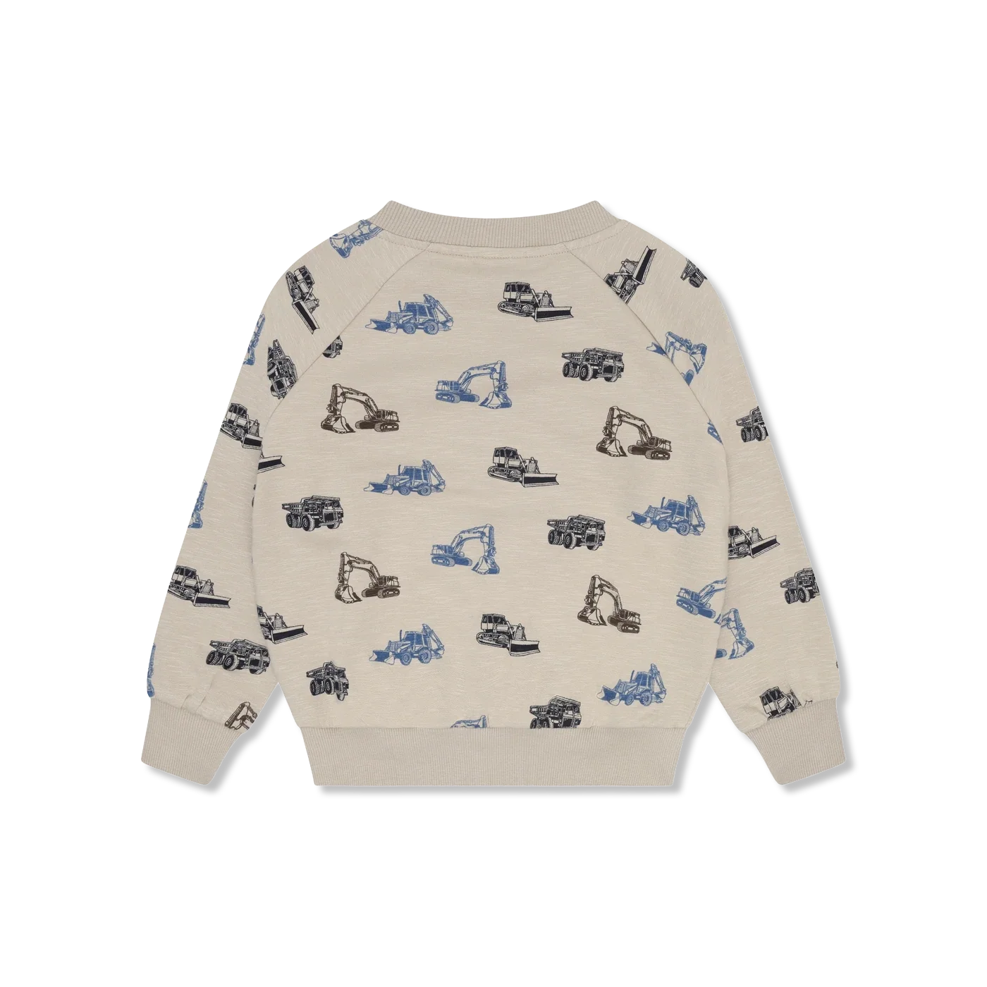 Sweatshirt ls Bluza