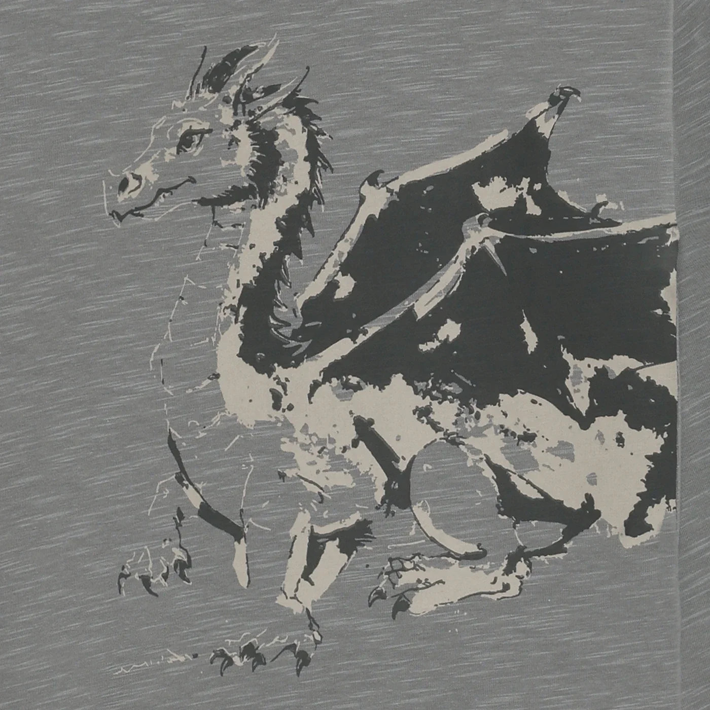T-shirt ls Bluzka