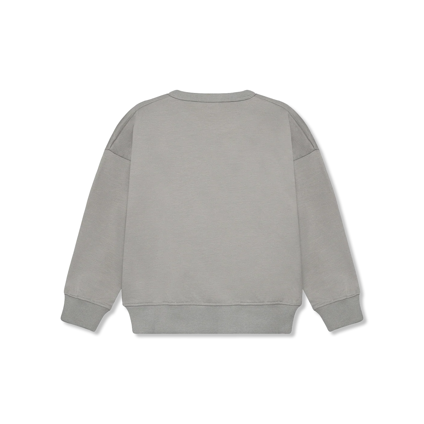 Sweatshirt ls Bluza